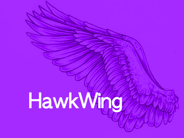 Hawkwing Development Studio